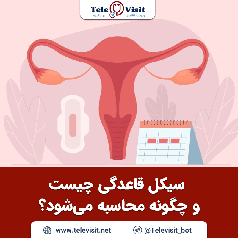 سیکل-قاعدگی-چیست-و-چگونه-محاسبه-می‌شود-تله-ویزیت-مشاوره-پزشکی-آنلاین