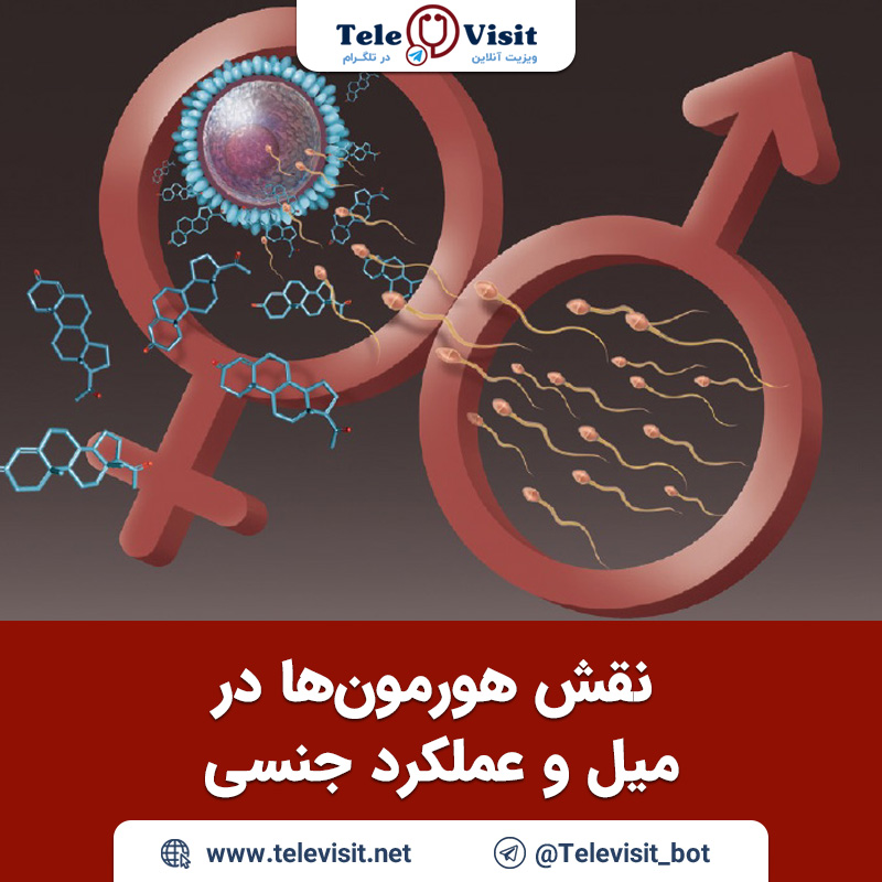 نقش-هورمون‌ها-در-میل-و-عملکرد-جنسی-تله-ویزیت-مشاوره-جنسی-آنلاین